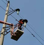 «Россети Кубань» установит 225 птицезащитных устройств в тихорецком энергорайоне